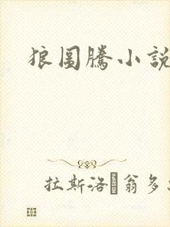 狼图腾小说