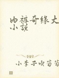 内裤奇缘大团结小说