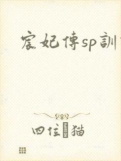 宸妃传sp训诫