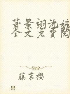 萧景翊沈婉小说全文免费阅读