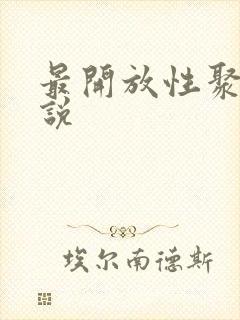 最开放性聚会小说封面