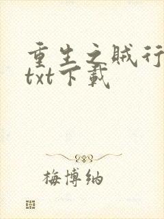 重生之贼行天下txt下载