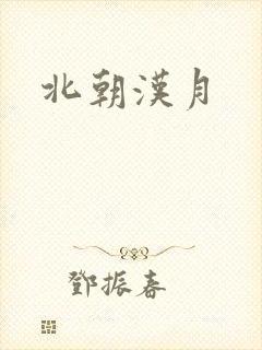 北朝汉月封面