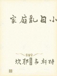 家庭乱日小说