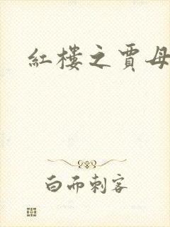 红楼之贾母