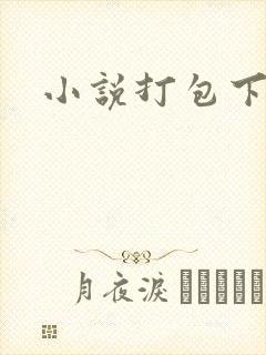 小说打包下载