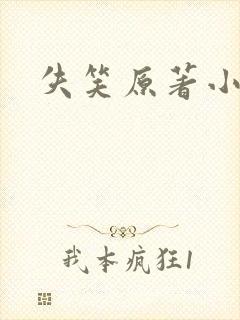 失笑原著小说