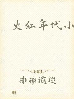 火红年代小说