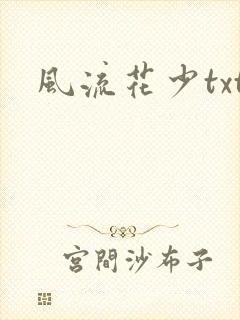 风流花少txt