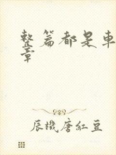 整篇都是车的文章