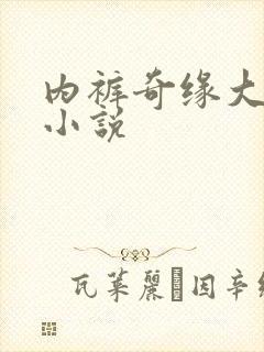 内裤奇缘大团结小说