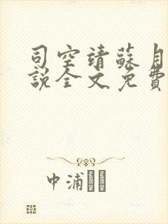 司空靖苏月汐小说全文免费阅读