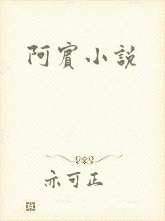 阿宾小说封面
