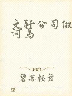 文轩公司做扩张河马封面