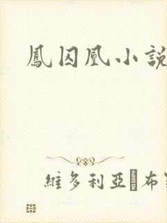 凤囚凰小说