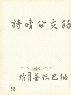 诗晴公交的小说