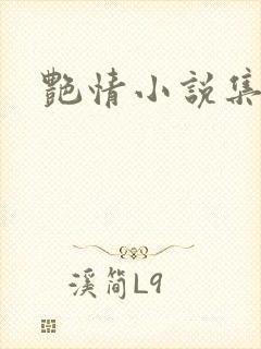 艳情小说集封面