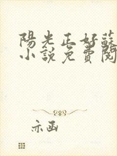 阳光正好苏玥玥小说免费阅读无弹窗