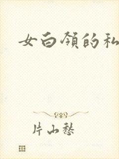 女白领的私生活封面