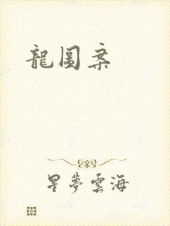 龙图案