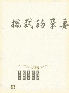 总裁的孕妻