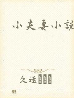 小夫妻小说