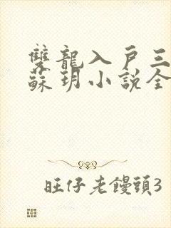 双龙入户三人行苏玥小说全文阅读