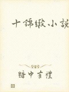 十锦缎小说封面