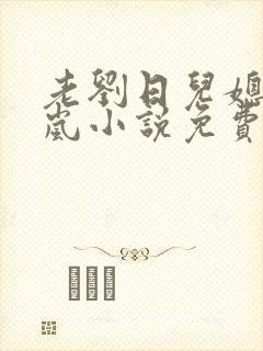 老刘日儿媳妇张岚小说免费阅读