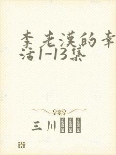 李老汉的幸福生活1-13集