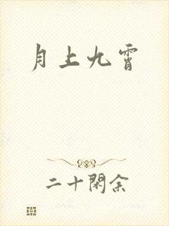 月上九霄封面