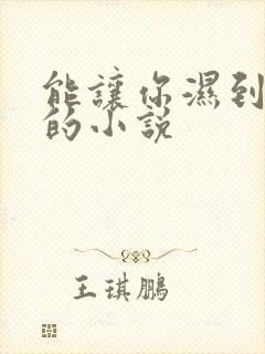 能让你湿到不行的小说封面