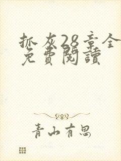 抓灰28章全部免费阅读