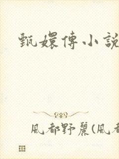 甄嬛传小说
