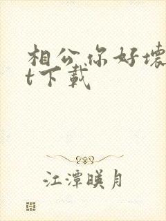 相公你好坏txt下载