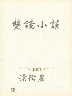 双镜小说