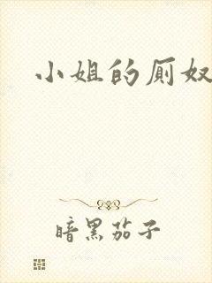 小姐的厕奴