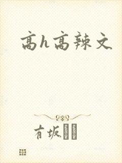 高h高辣文封面