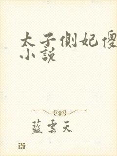 太子侧妃傻乎乎小说