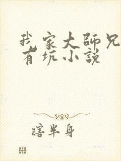 我家大师兄脑子有坑小说