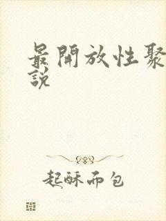 最开放性聚会小说