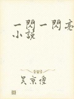 一闪一闪亮星星小说