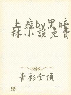上瘾by黑暗森林小说免费