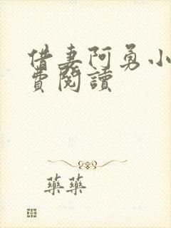 借妻阿勇小说免费阅读封面