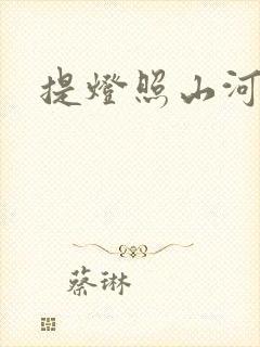 提灯照山河封面