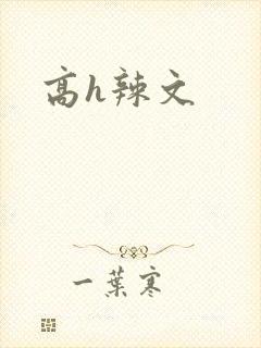 高h辣文