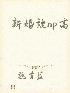 新婚被np高h