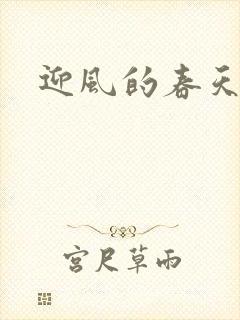 迎风的春天封面