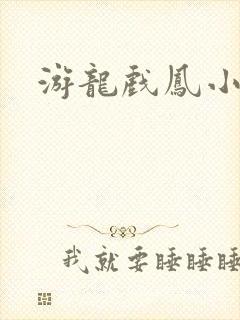 游龙戏凤小说