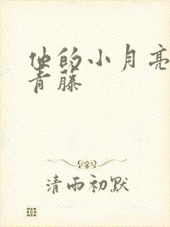 他的小月亮by青藤